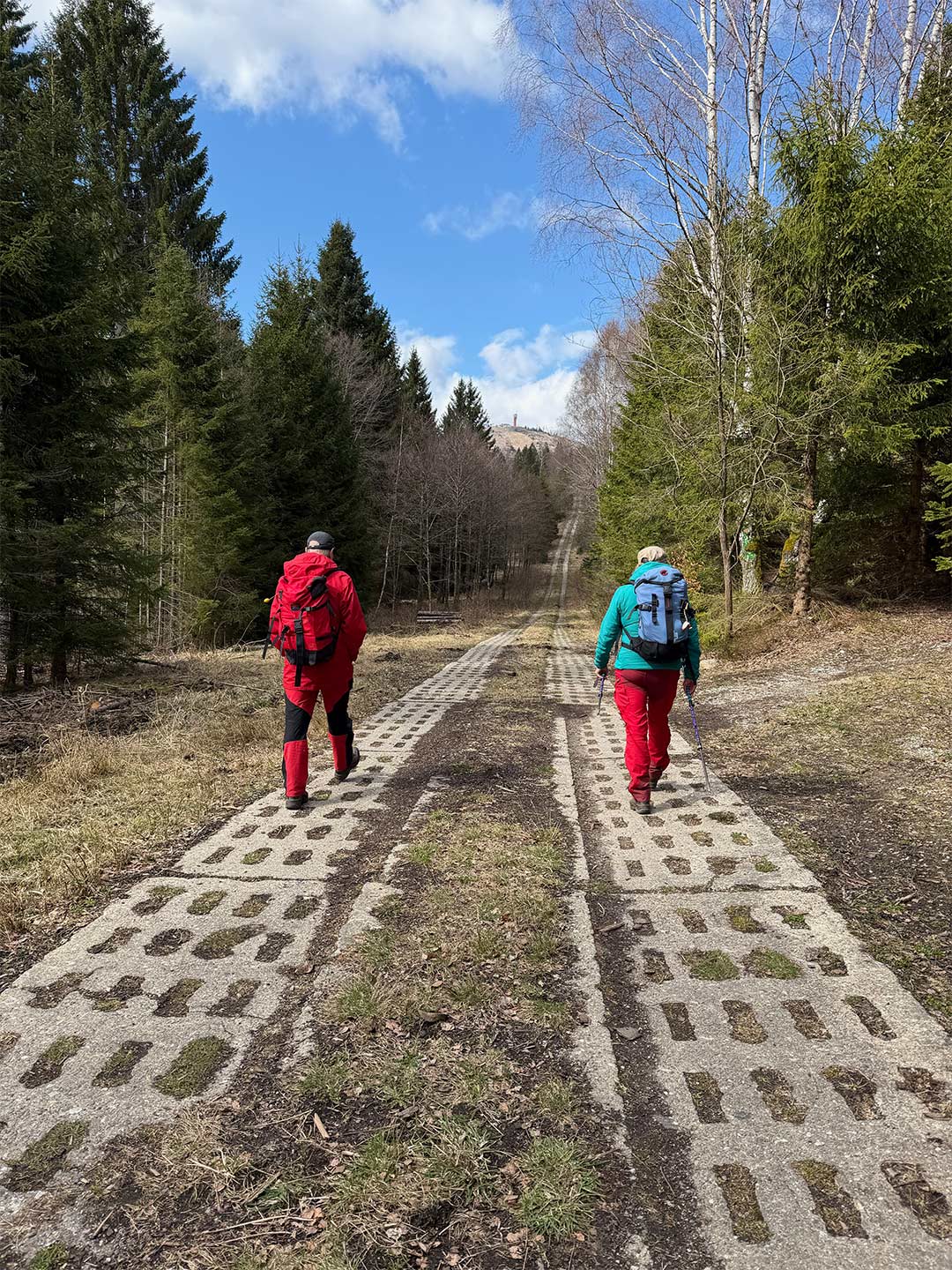 Osterwanderung Grünes Band 2026: Harz: Kolonnenweg am Flüsschen Bremke zum Wurmberg (Foto: Manuela Hahnebach)