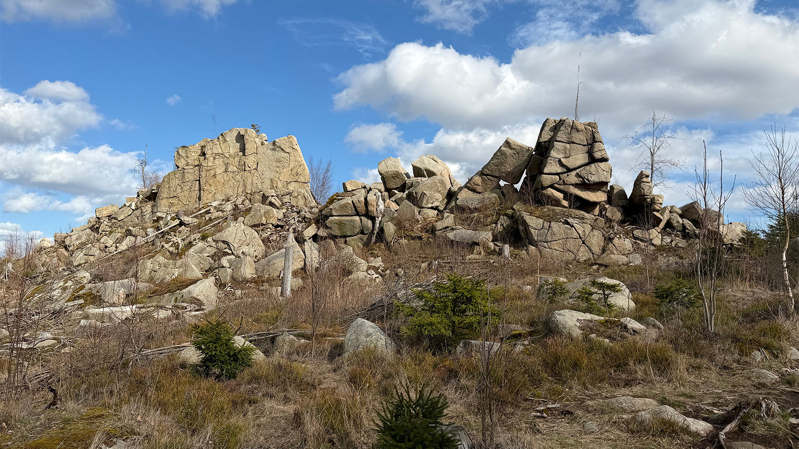 Osterwanderung Grünes Band 2026: Harz: Mauseklippe am Braunlager Weg (Foto: Manuela Hahnebach)