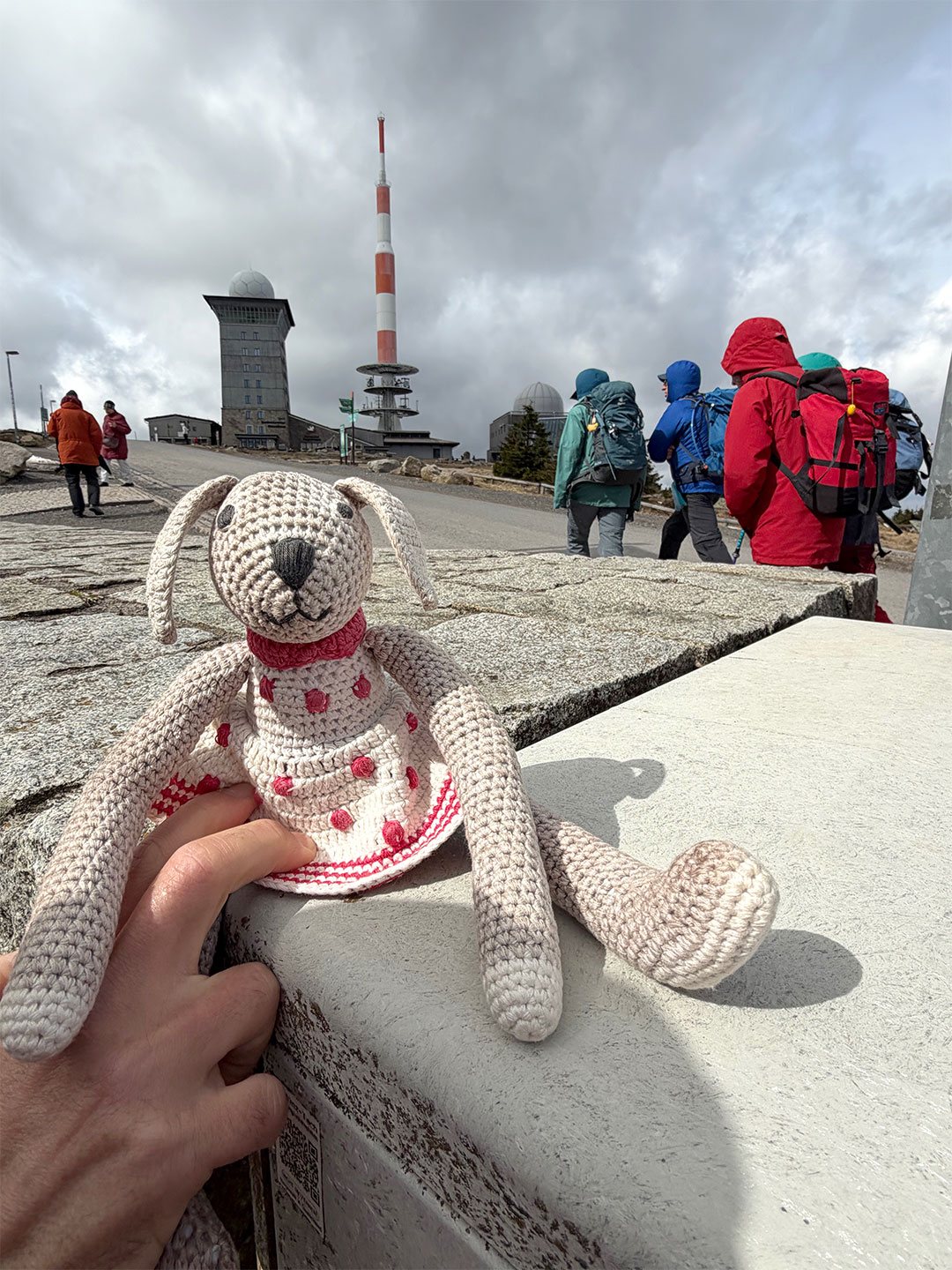 Osterwanderung Grünes Band 2026: Harz: Manus Brocken-Hase (Foto: Manuela Hahnebach)