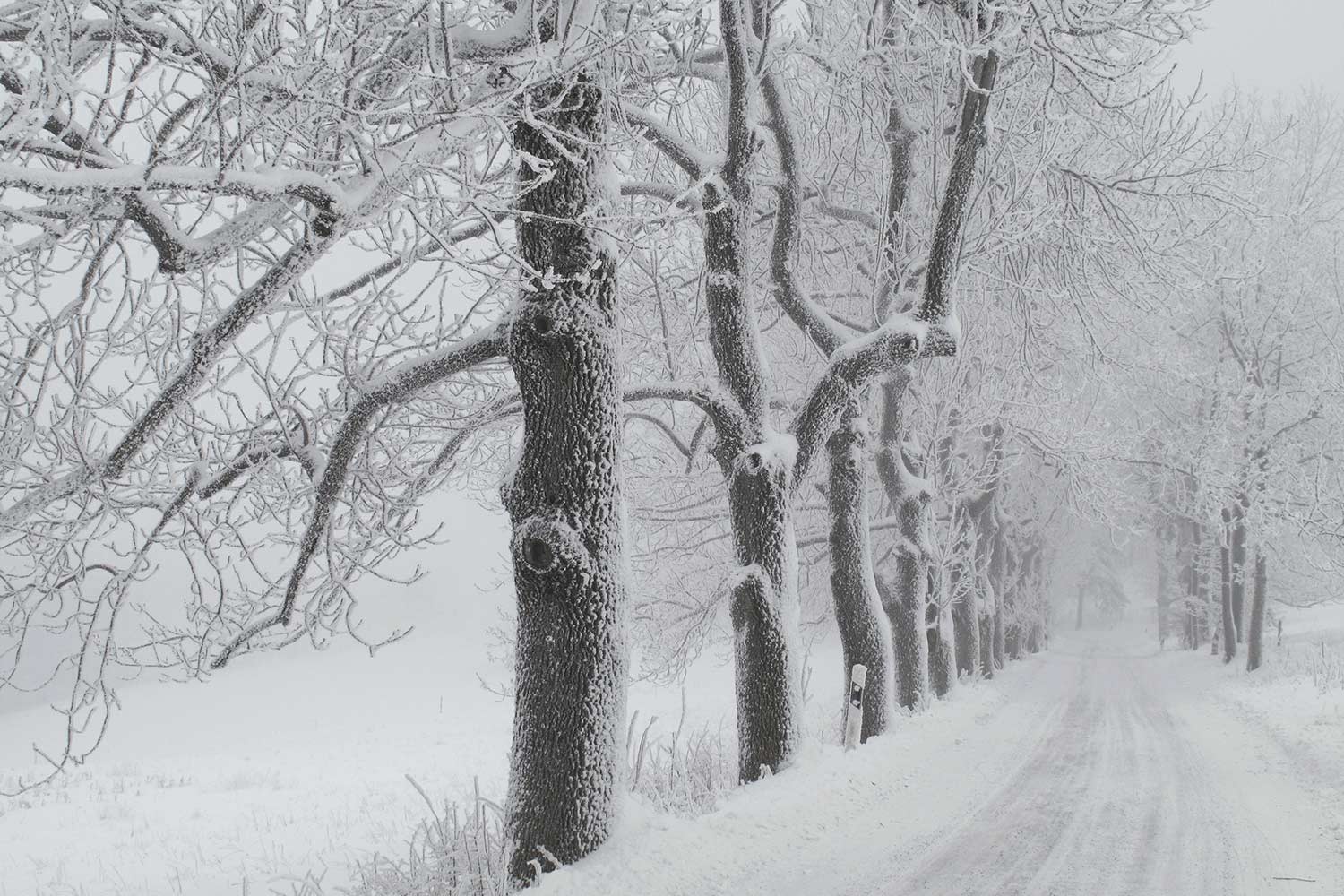 Straße zum Dolmar . Thüringen . 2010 (Foto: Andreas Kuhrt)