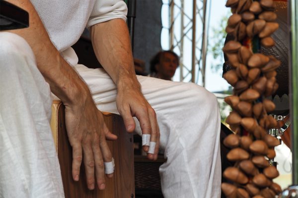 Neckar Ganga: Peter Hinz . Rudolstadt-Festival 2017 (Foto: Manuela Hahnebach)