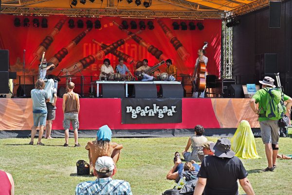 Neckar Ganga: Publikum . Rudolstadt-Festival 2017 (Foto: Manuela Hahnebach)