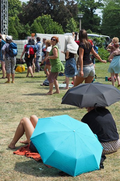 Neckar Ganga: Publikum . Rudolstadt-Festival 2017 (Foto: Manuela Hahnebach)