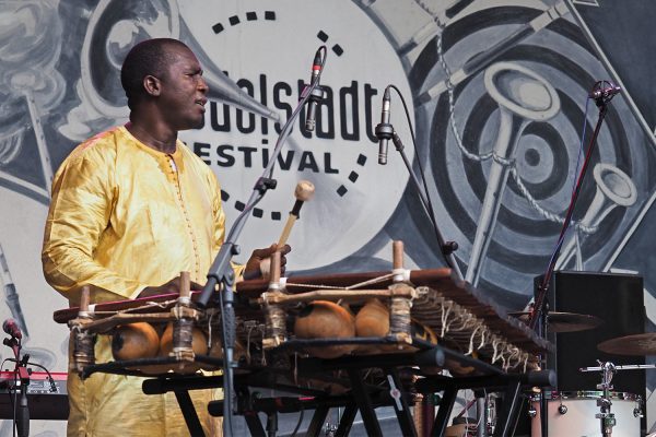 Trio Da Kali: Fodé Lassana Diabaté . Rudolstadt-Festival 2017 (Foto: Manuela Hahnebach)