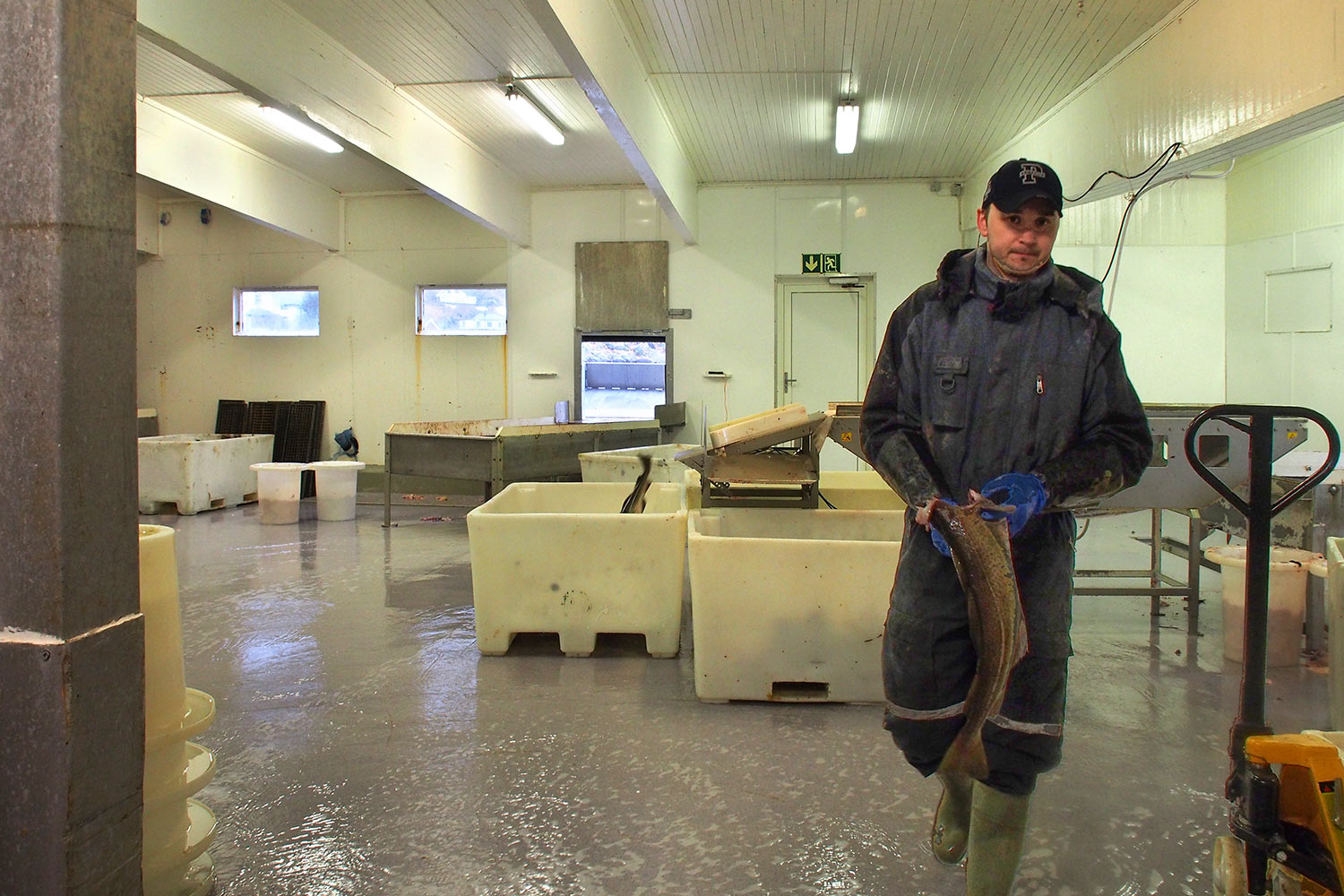 Fischfabrik Sund . Flakstadøya . Lofoten . 2013 (Foto: Manuela Hahnebach)