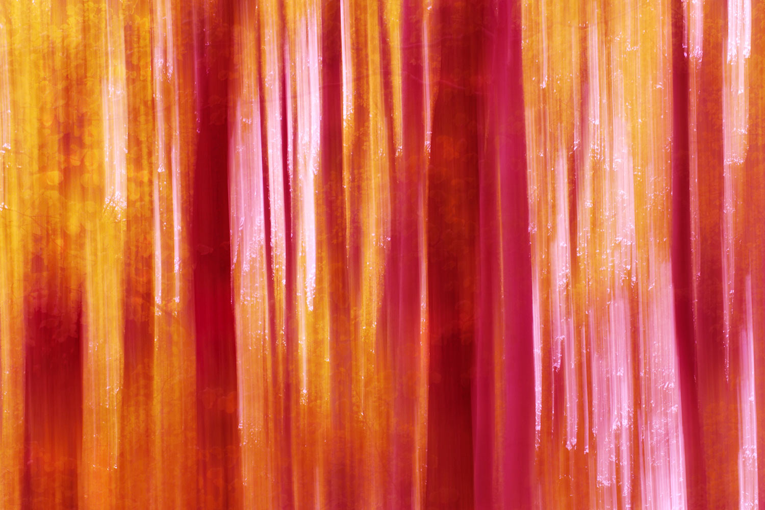 EM043637b-MH-2014-Suedharz-bei-Questenberg