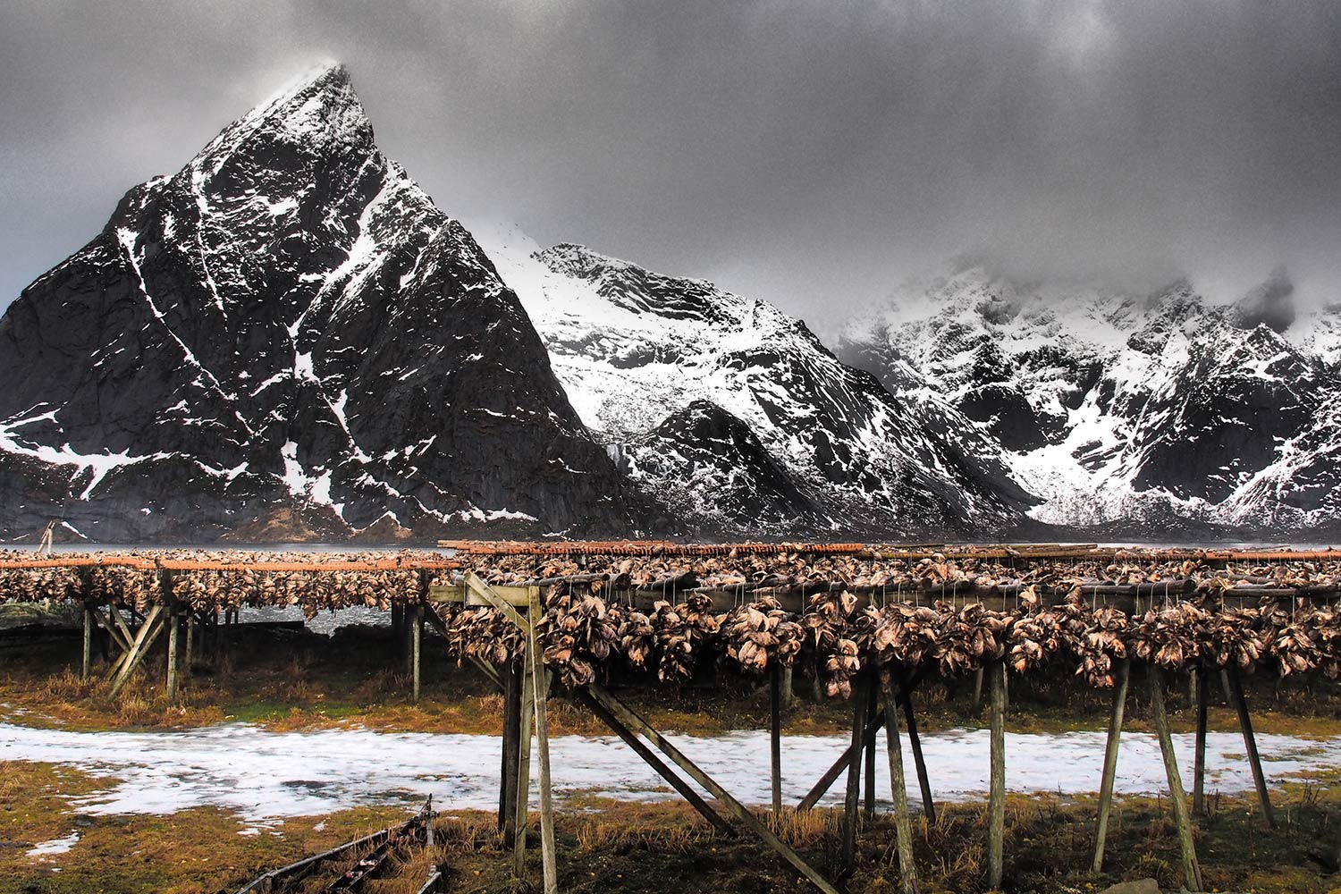 Trockenfischgestelle . Sakrisøya . Lofoten . 2013 (Foto: Andreas Kuhrt)