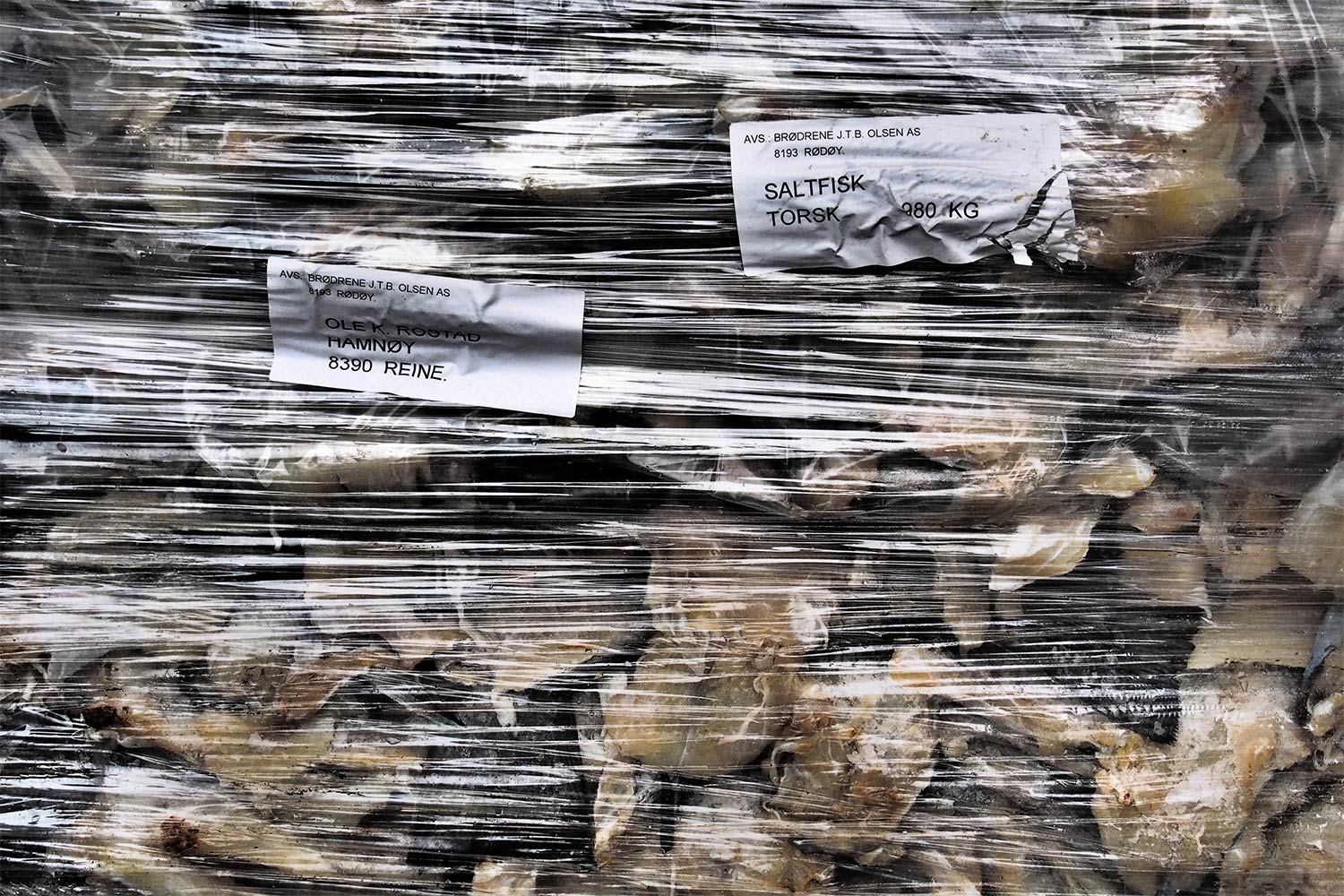 Saltfisk . Hamnøy . Lofoten . 2013 (Foto: Andreas Kuhrt)