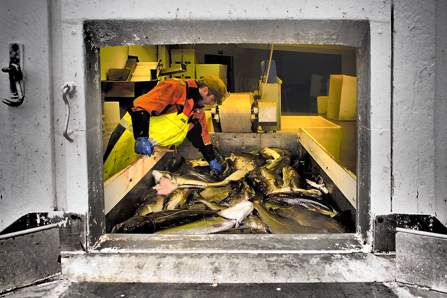 Fischfabrik . Sund . Lofoten . 2013 (Foto: Andreas Kuhrt)