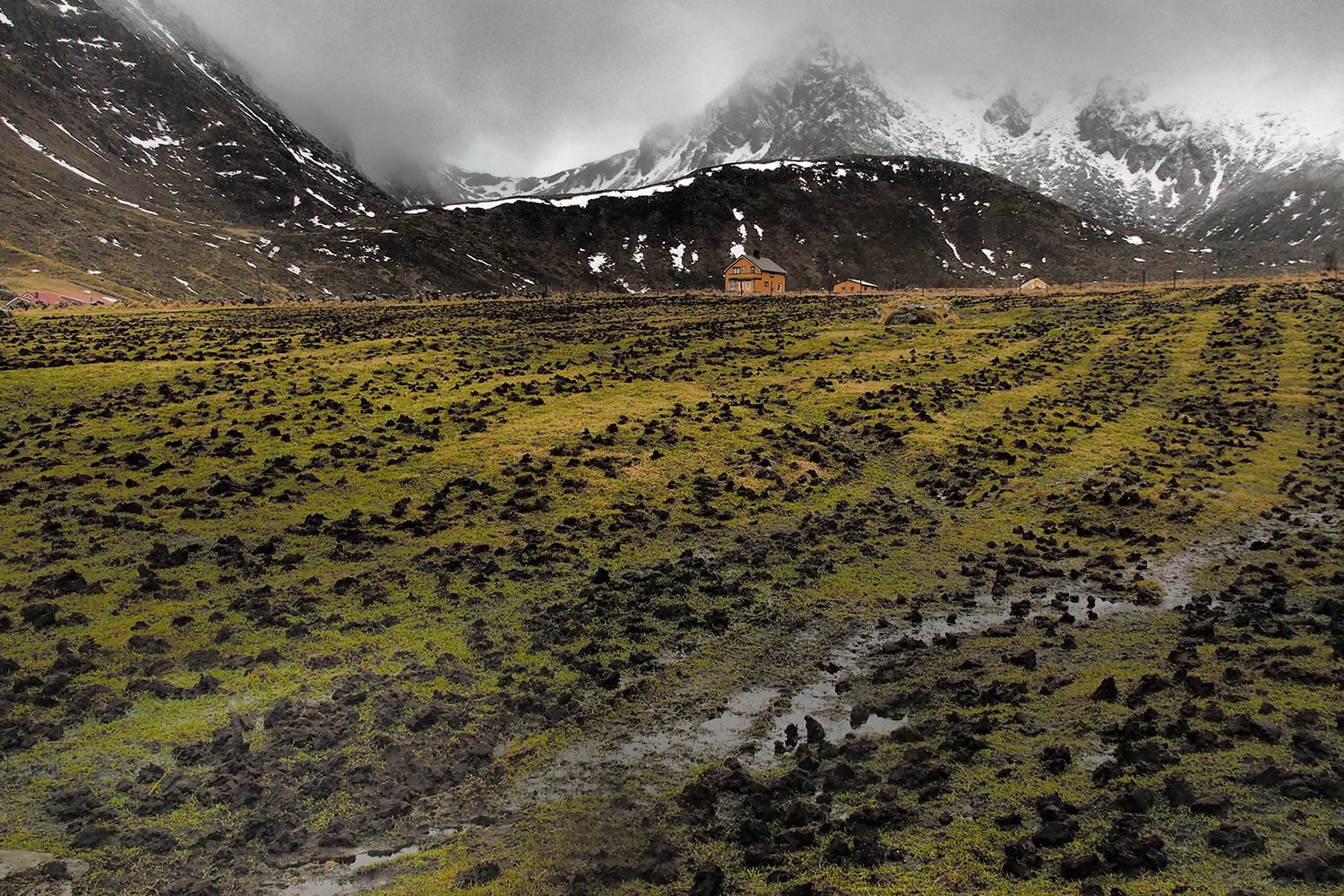 Myrland . Lofoten . 2013 (Foto: Andreas Kuhrt)