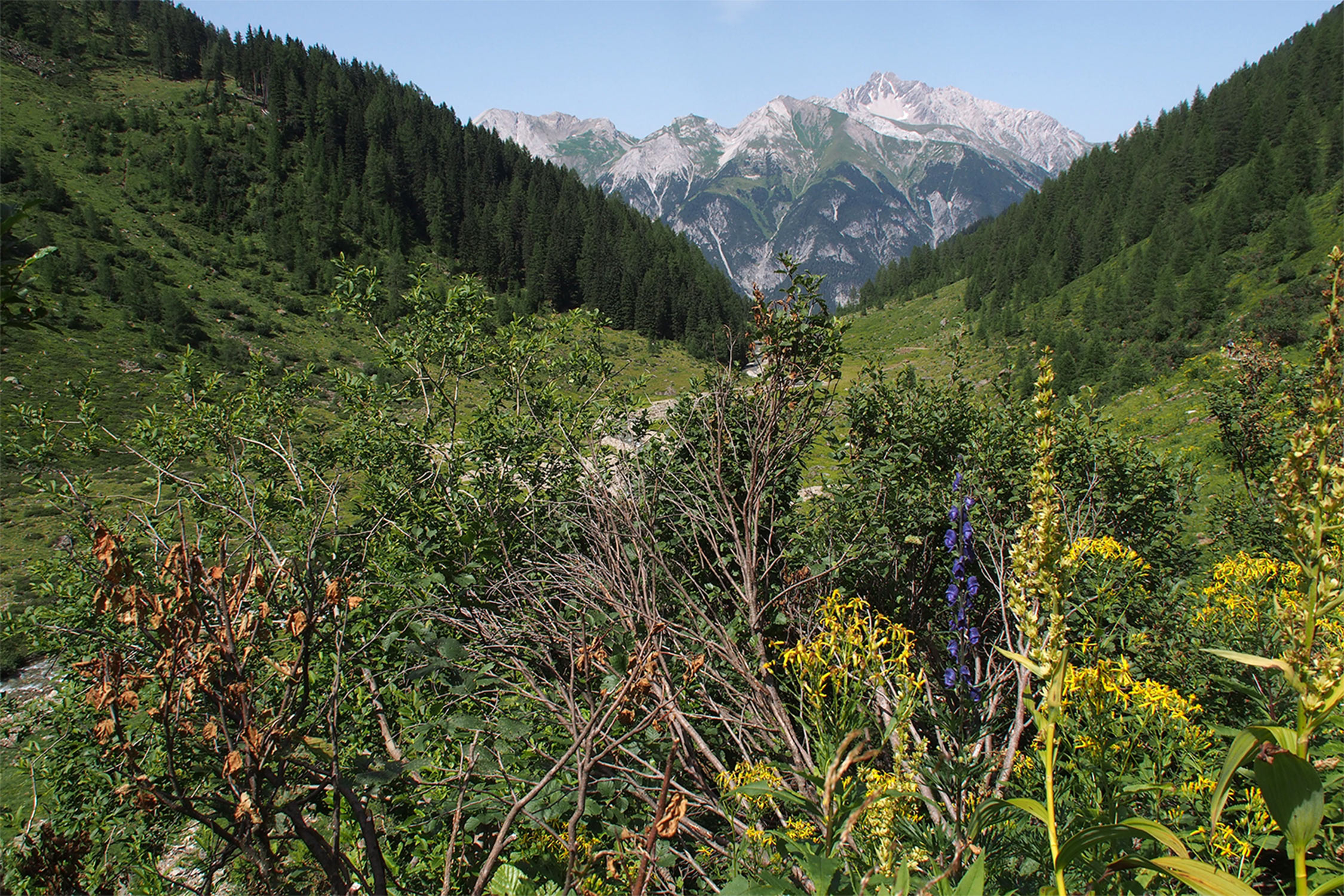 Im Malfontal . Verwall . Österreichische Alpen . 2013 (Foto: Andreas Kuhrt)