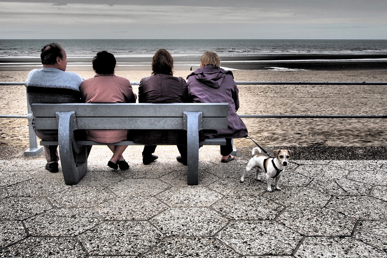 In der ersten Reihe . Am Strand bei Ster der Zee . Koksijde . Fotoclubtour Flandern 2013 (Foto: Andreas Kuhrt)