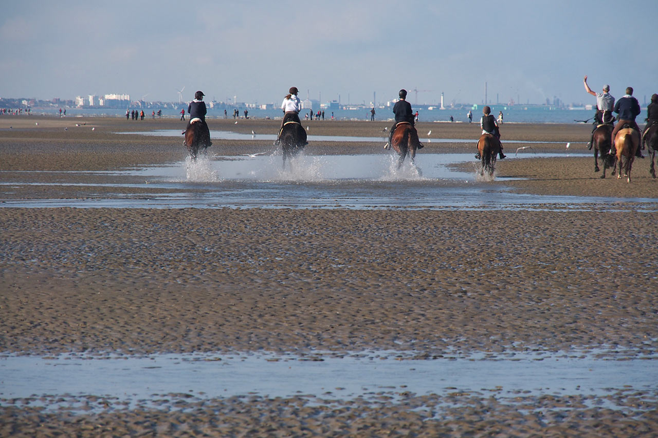 Reiter am Strand von Sint Idesbald . Koksijde . Fotoclubtour Flandern 2013 (Foto: Manuela Hahnebach)