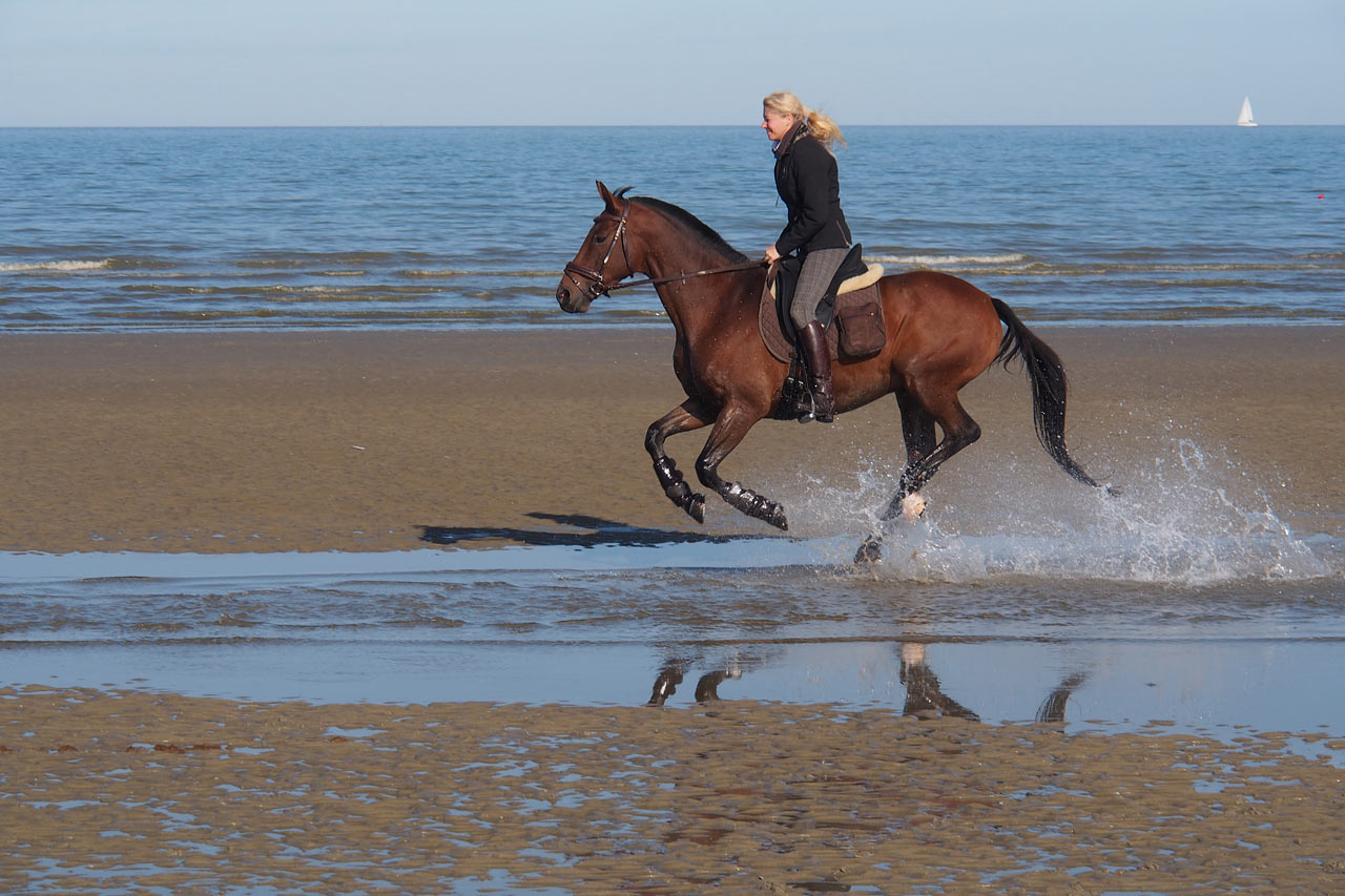 Reiter am Strand von Sint Idesbald . Koksijde . Fotoclubtour Flandern 2013 (Foto: Andreas Kuhrt)