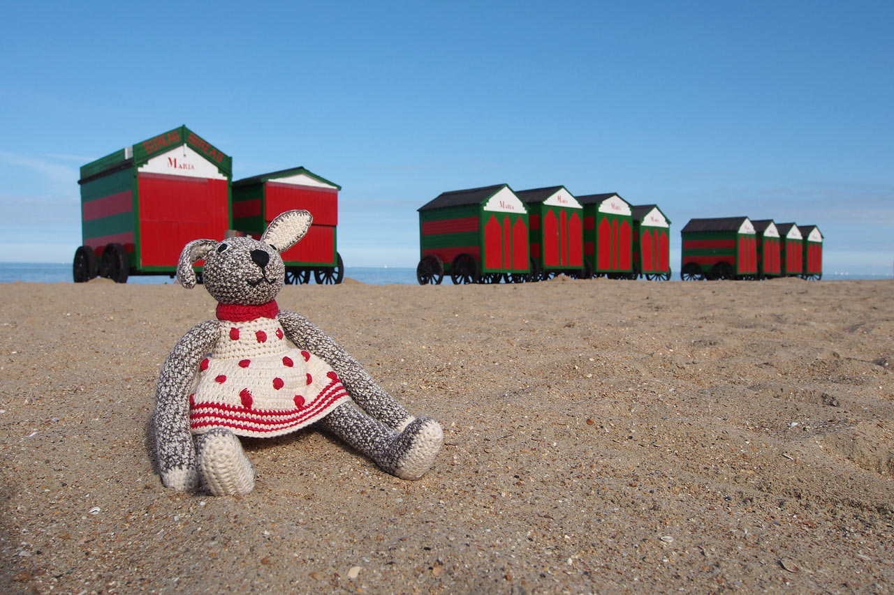 Hasel am Strand von Sint Idesbald . Fotoclubtour Flandern 2013 (Foto: Manuela Hahnebach)