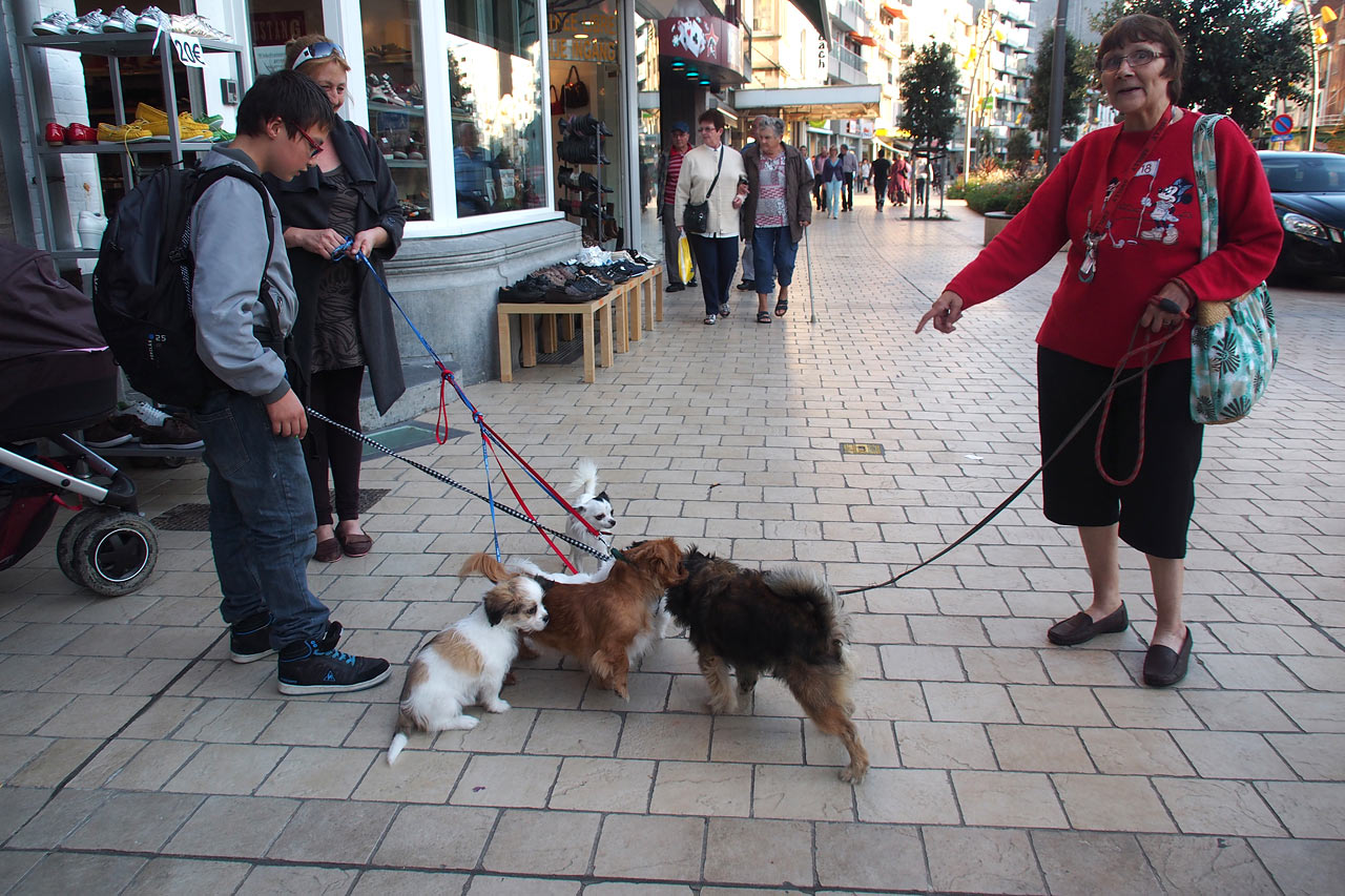 Hundetreff in De Panne . Fotoclubtour Flandern 2013 (Foto: Andreas Kuhrt)
