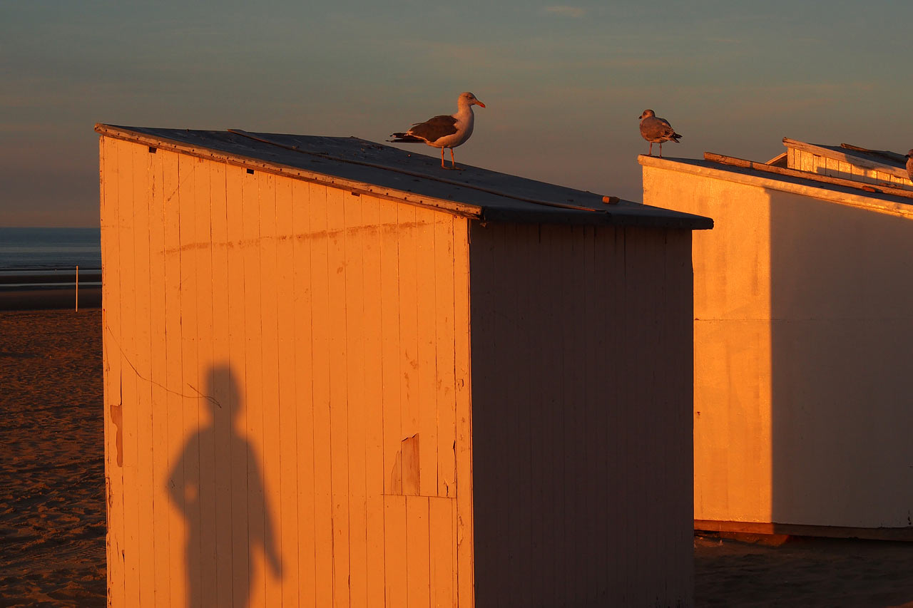Am Strand von De Panne . Fotoclubtour Flandern 2013 (Foto: Andreas Kuhrt)