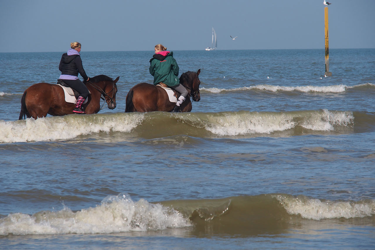 Reiter am Strand bei Nieuwpoort . Fotoclubtour Flandern 2013 (Foto: Andreas Kuhrt)