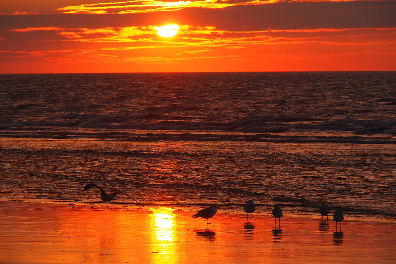 Sonnenuntergang am Strand von Nieuwpoort . Fotoclubtour Flandern 2013 (Foto: Andreas Kuhrt)