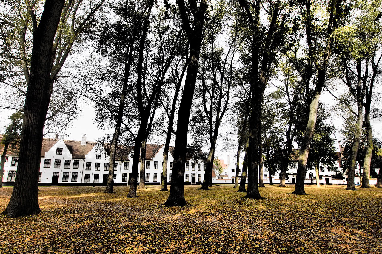 Begijnhof (Beginenhof) . Brügge . Fotoclubtour Flandern 2013 (Foto: Andreas Kuhrt)