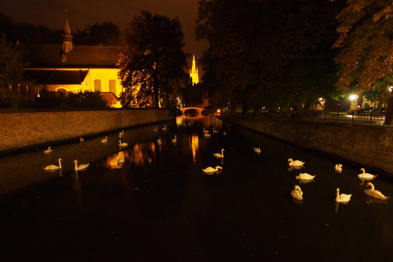Schwanensee Minnewater . Brügge . Fotoclubtour Flandern 2013 (Foto: Andreas Kuhrt)