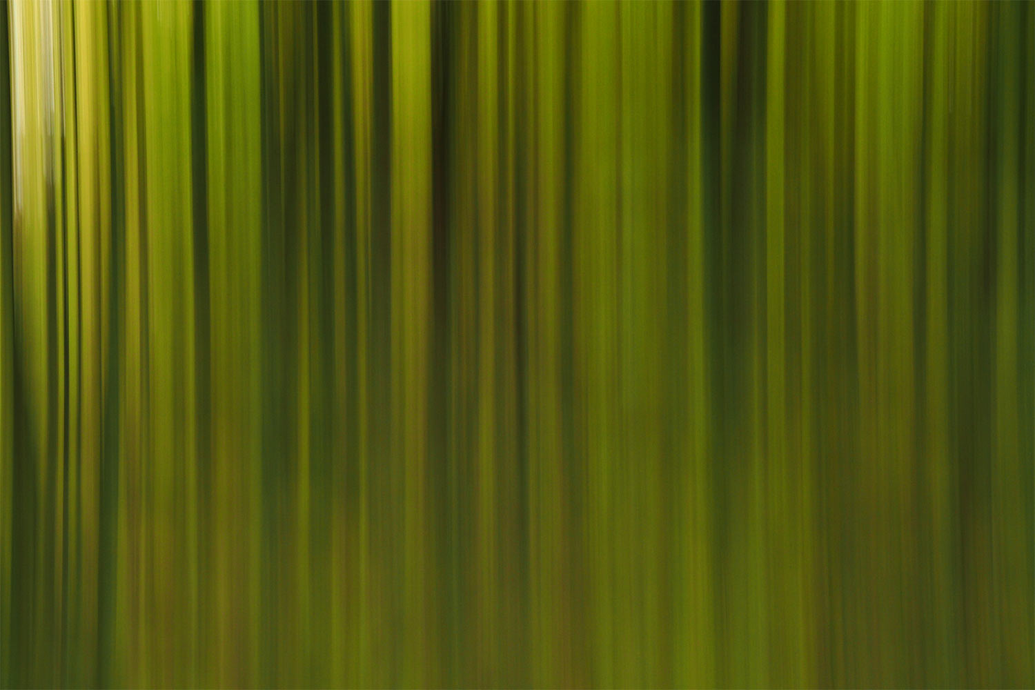 Wischwald . Kleiner Gleichberg . 2015 (Foto: Andreas Kuhrt)