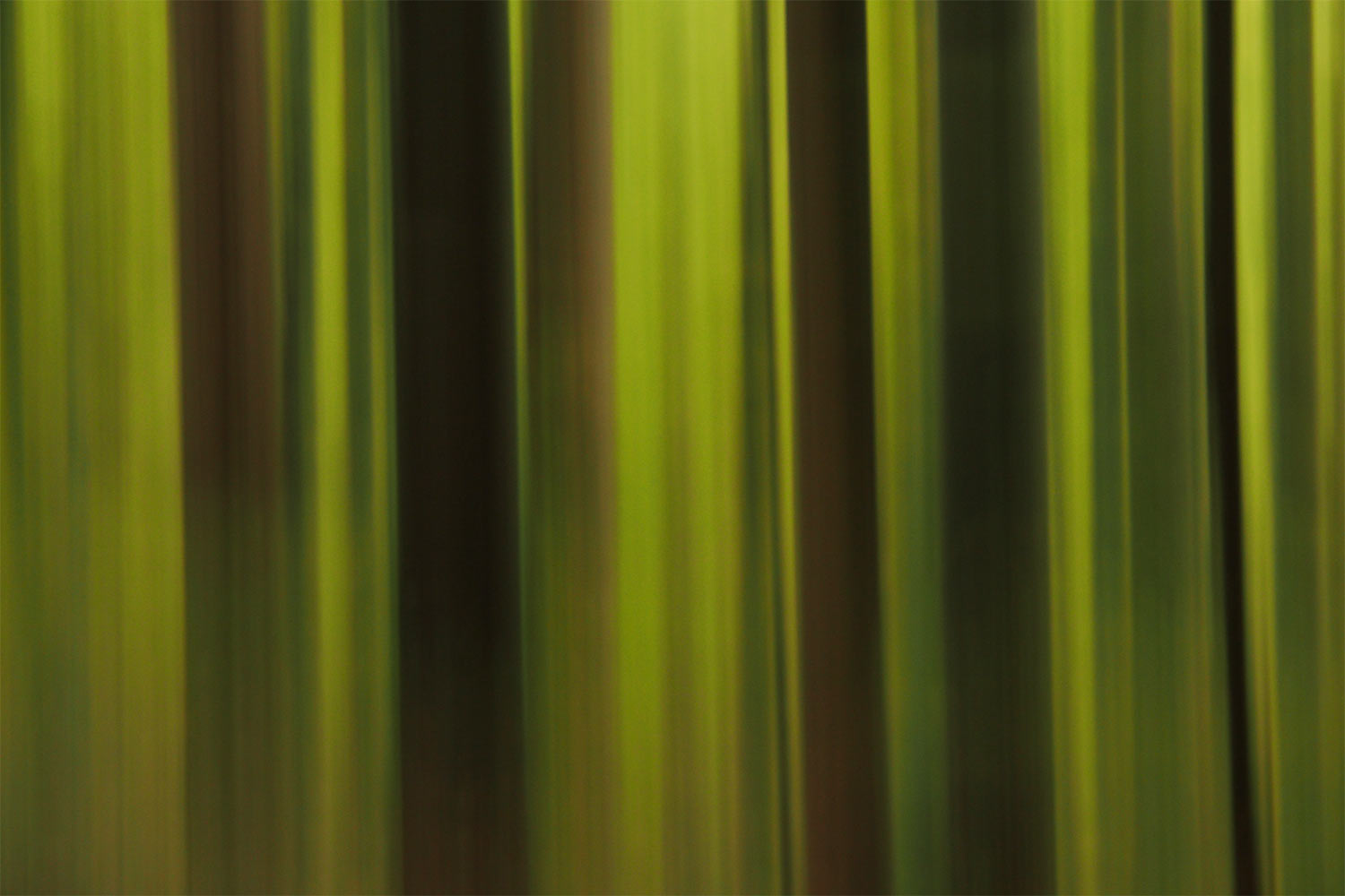 Wischwald . Kleiner Gleichberg . 2015 (Foto: Andreas Kuhrt)