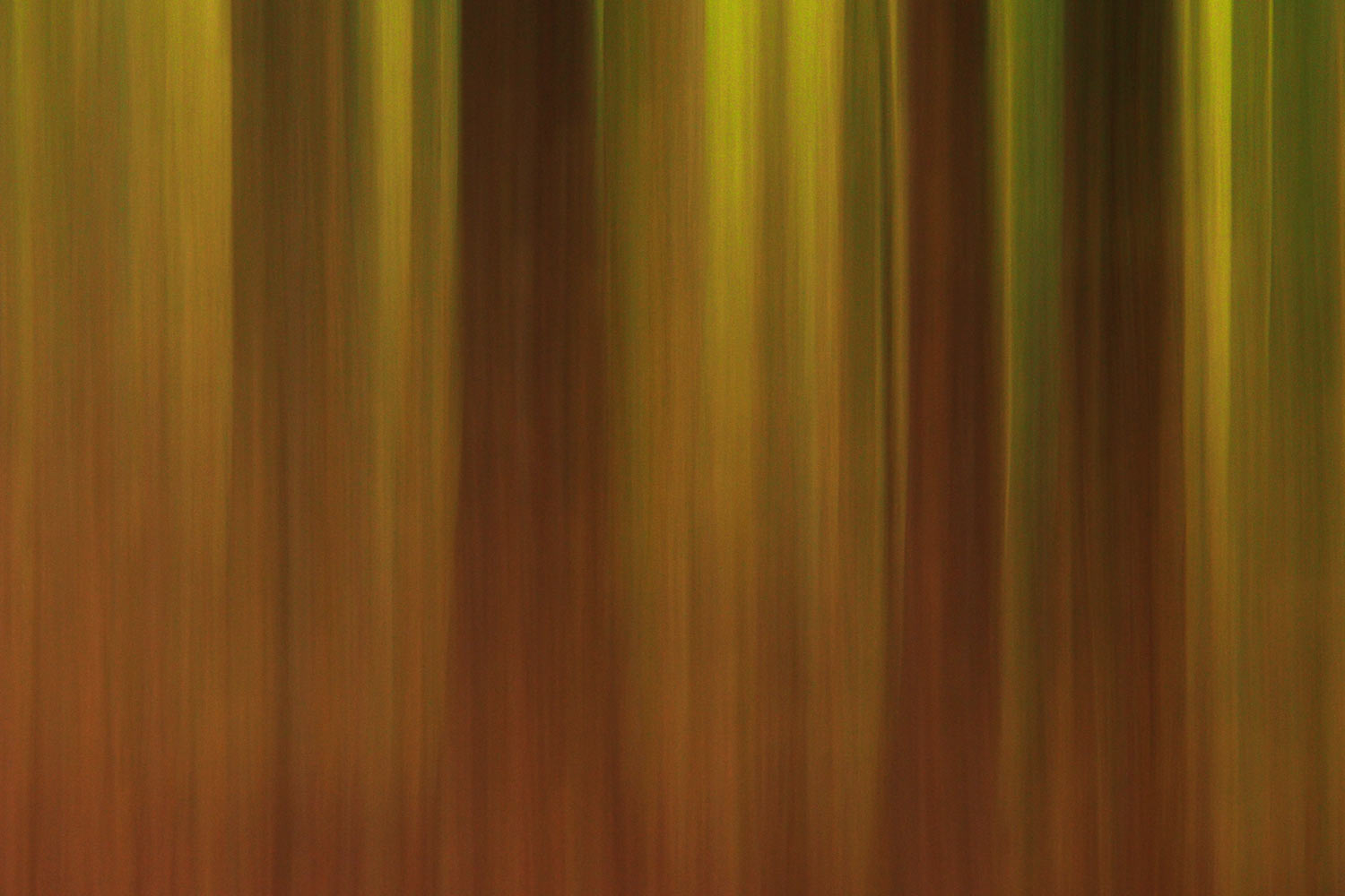 Wischwald . Kleiner Gleichberg . 2015 (Foto: Andreas Kuhrt)