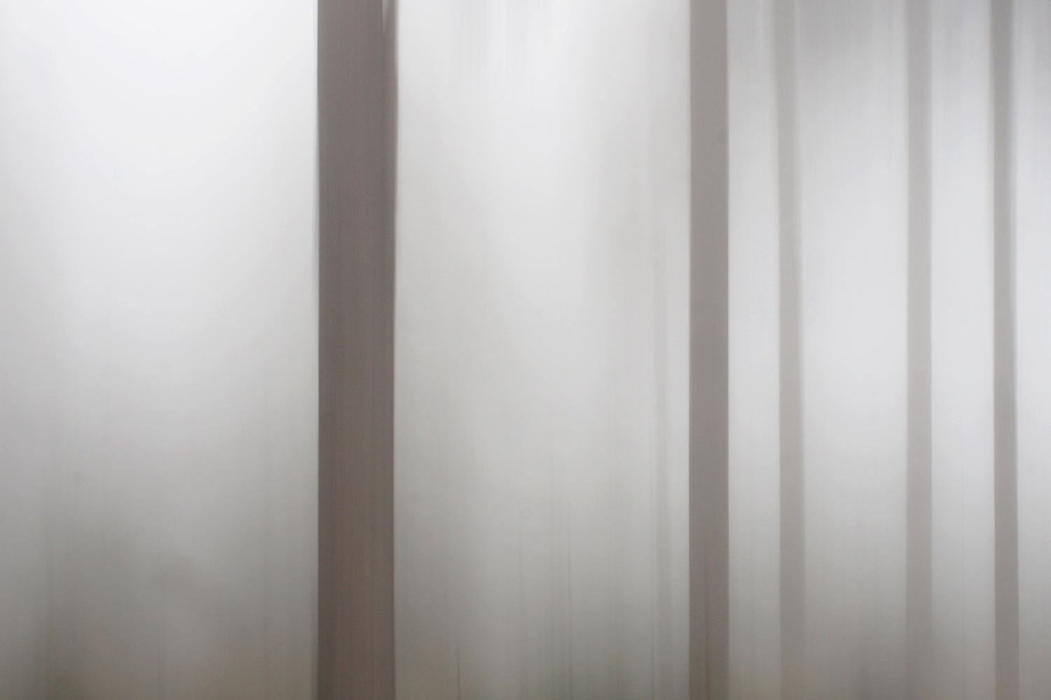 Wischwald . bei Oberschönau . Thüringer Wald . 2015 (Foto: Andreas Kuhrt)