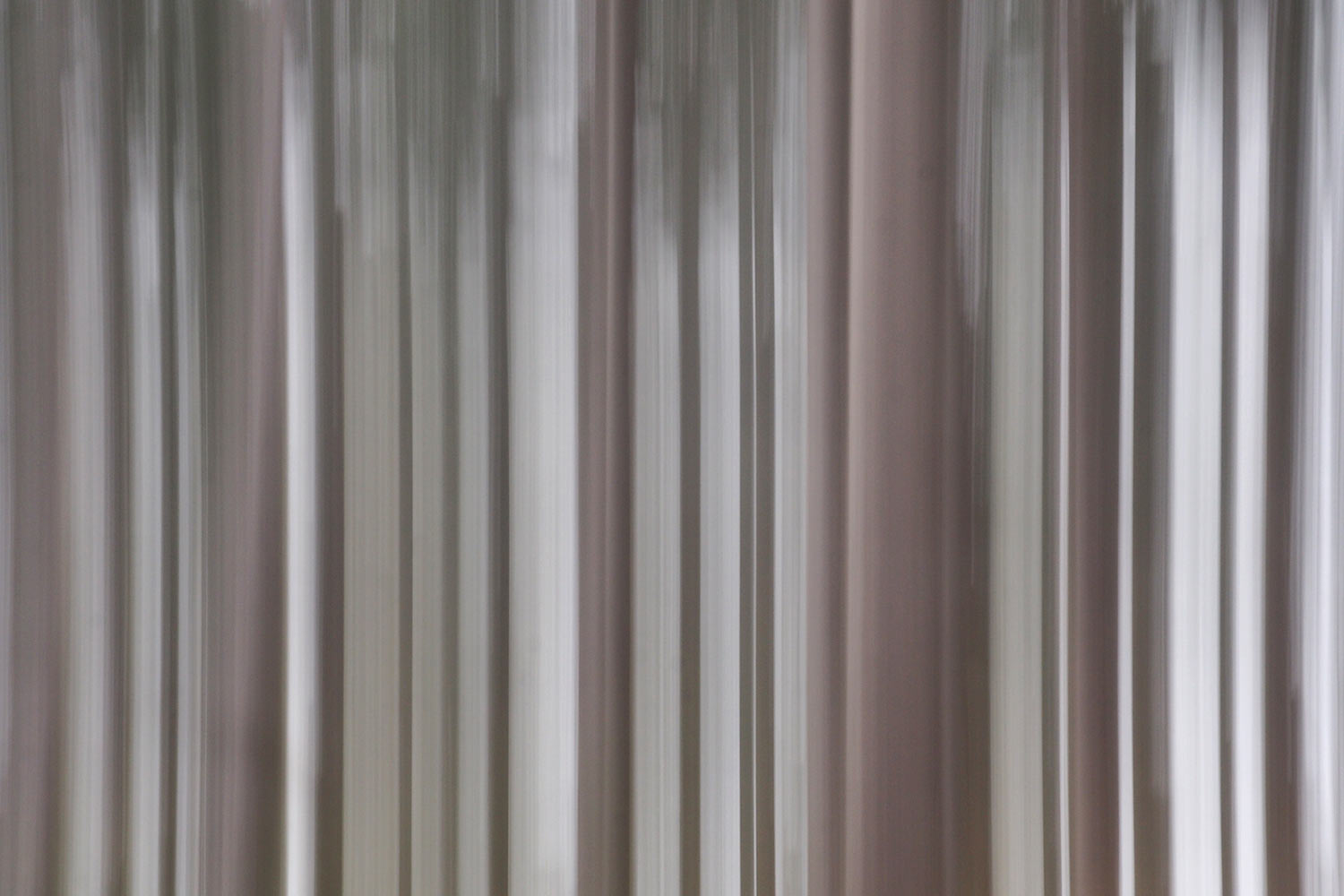 Wischwald . bei Oberschönau . Thüringer Wald . 2015 (Foto: Andreas Kuhrt)