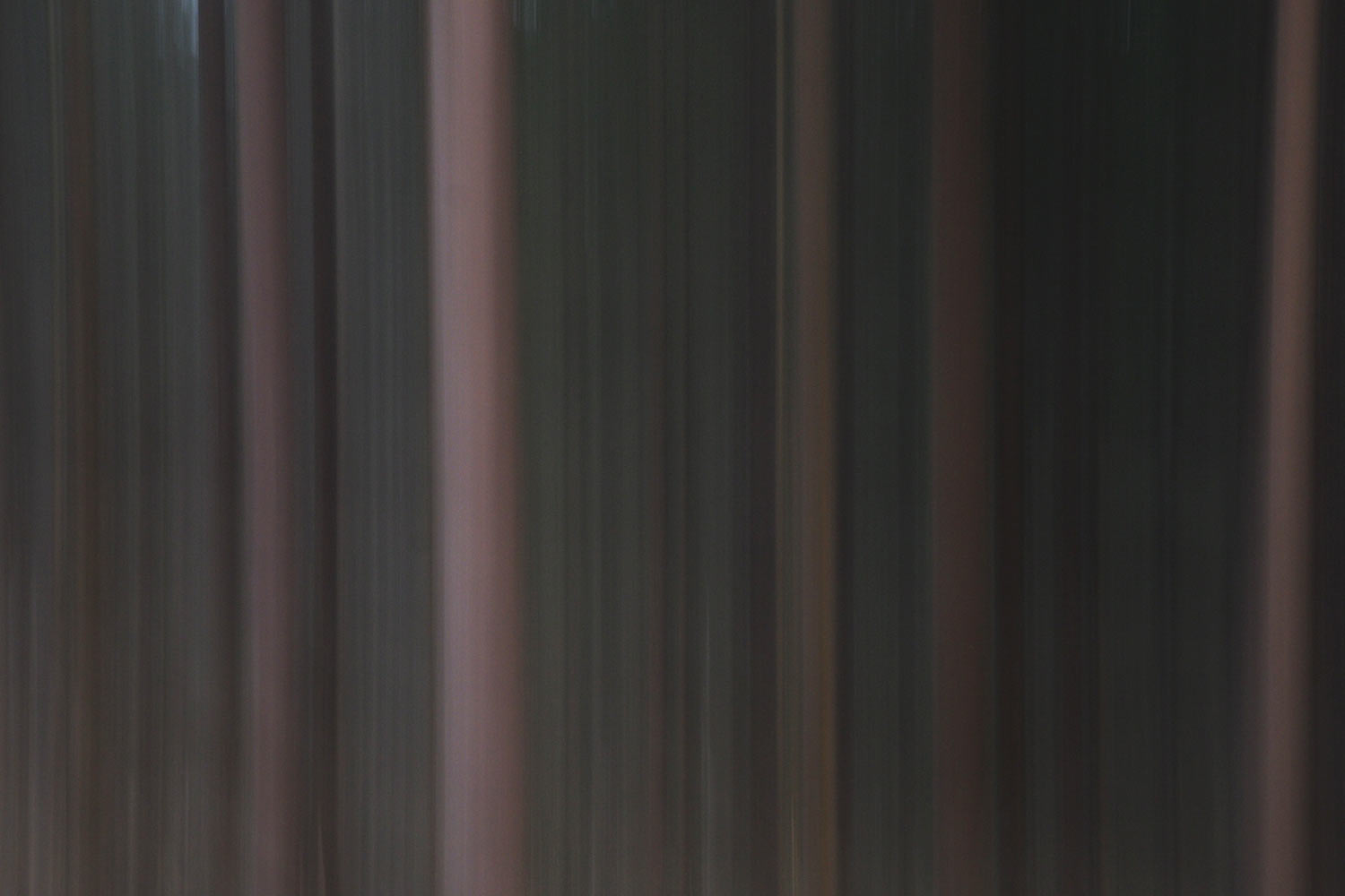 Wischwald . bei Oberschönau . Thüringer Wald . 2015 (Foto: Andreas Kuhrt)