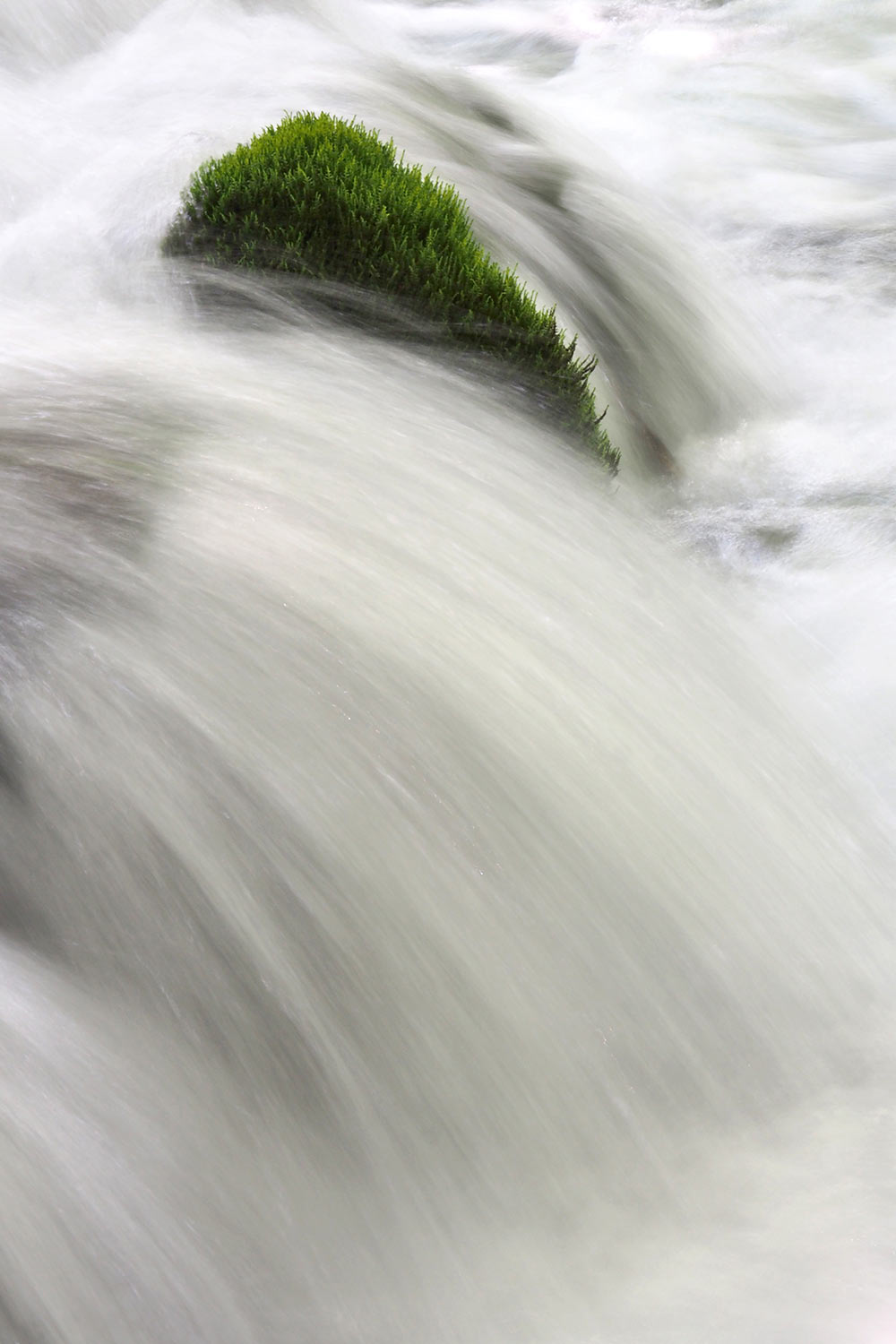 P0045989-AK-2016-Kroatien-Plitwitzer-Seen-Im-Fluss- Im Fluss . Plitwitzer Seen . Kroatien . 2016 (Foto: Andreas Kuhrt)