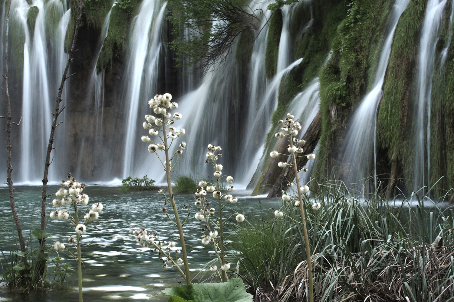 P0046978-AK-2016-Kroatien-Plitwitzer-Seen Plitwitzer Seen . Kroatien . 2016 (Foto: Andreas Kuhrt)