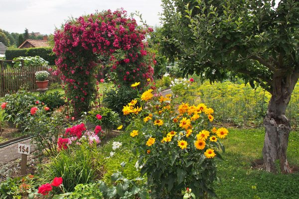 Garten . Rudolstadt . 2016 (Foto: Andreas Kuhrt)