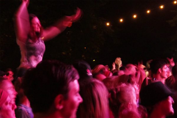 Publikum bei DJ Ipek (Berlin) . Rudolstadt Festival . 2016 (Foto: Andreas Kuhrt)