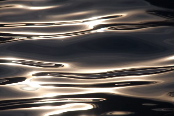 Wasserreflexe im Schwimmbad . Rudolstadt Festival . 2016 (Foto: Andreas Kuhrt)