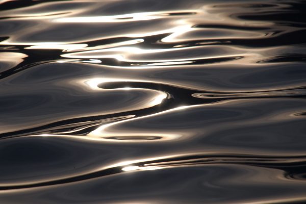 Wasserreflexe im Schwimmbad . Rudolstadt Festival . 2016 (Foto: Andreas Kuhrt)