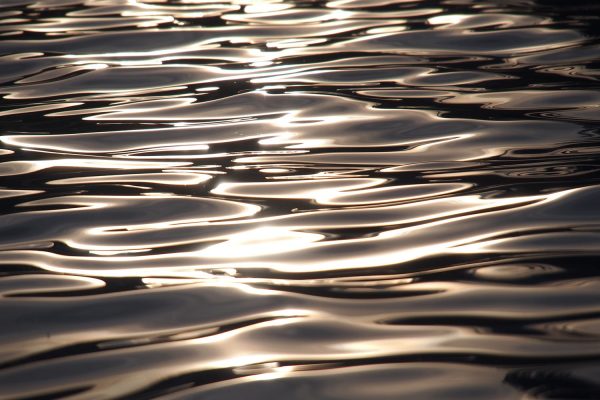 Wasserreflexe im Schwimmbad . Rudolstadt Festival . 2016 (Foto: Andreas Kuhrt)