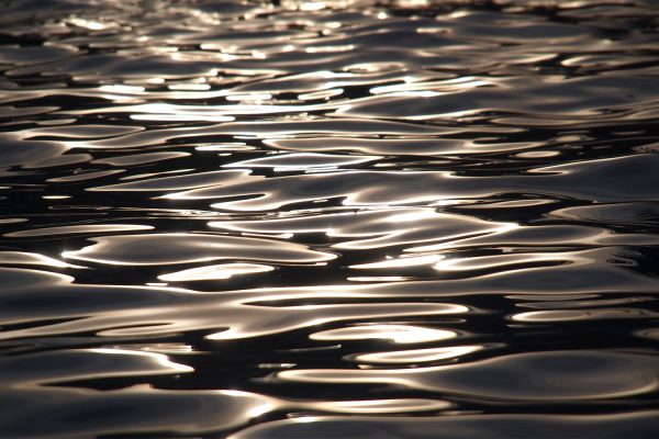 Wasserreflexe im Schwimmbad . Rudolstadt Festival . 2016 (Foto: Andreas Kuhrt)