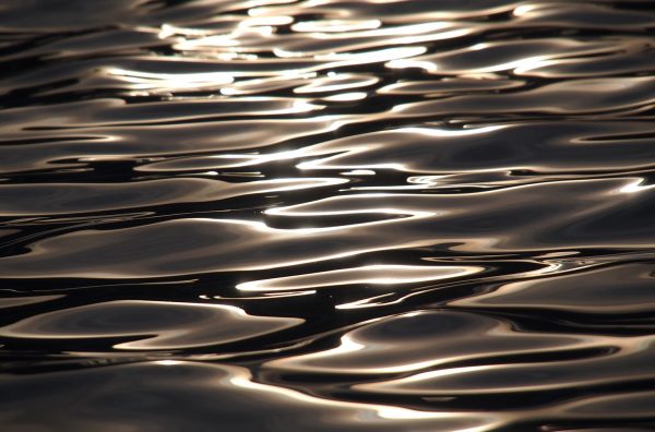 Wasserreflexe im Schwimmbad . Rudolstadt Festival . 2016 (Foto: Andreas Kuhrt)