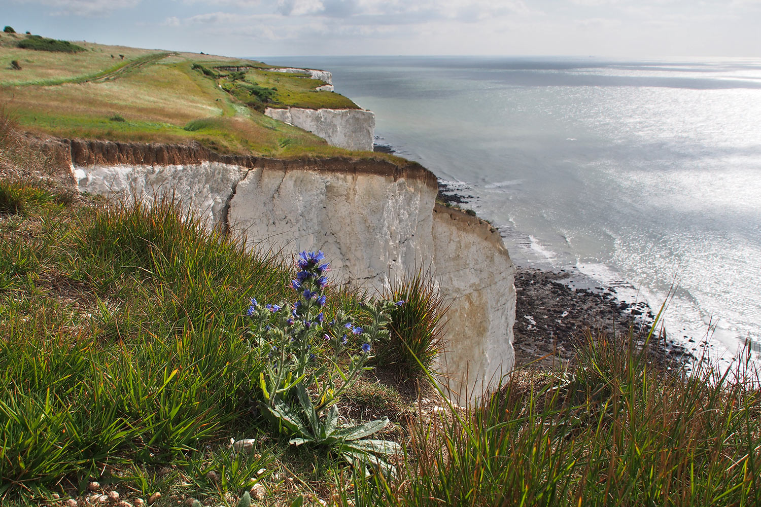 Dover Kreideküste . England (Foto: Andreas Kuhrt 2016)