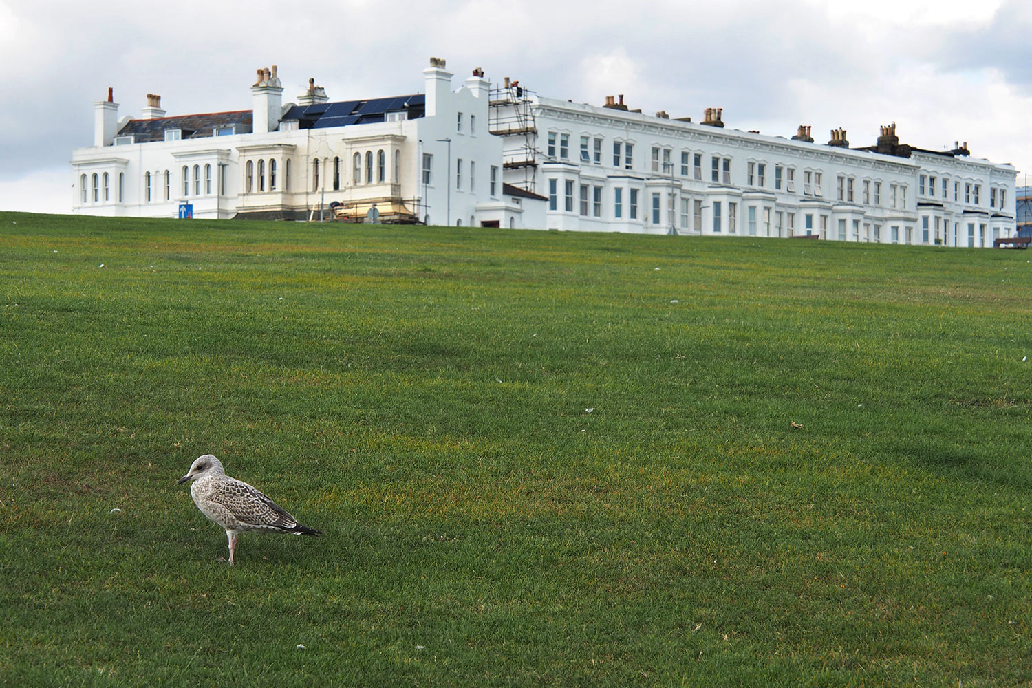 West Hill . Hastings . England (Foto: Andreas Kuhrt 2016)