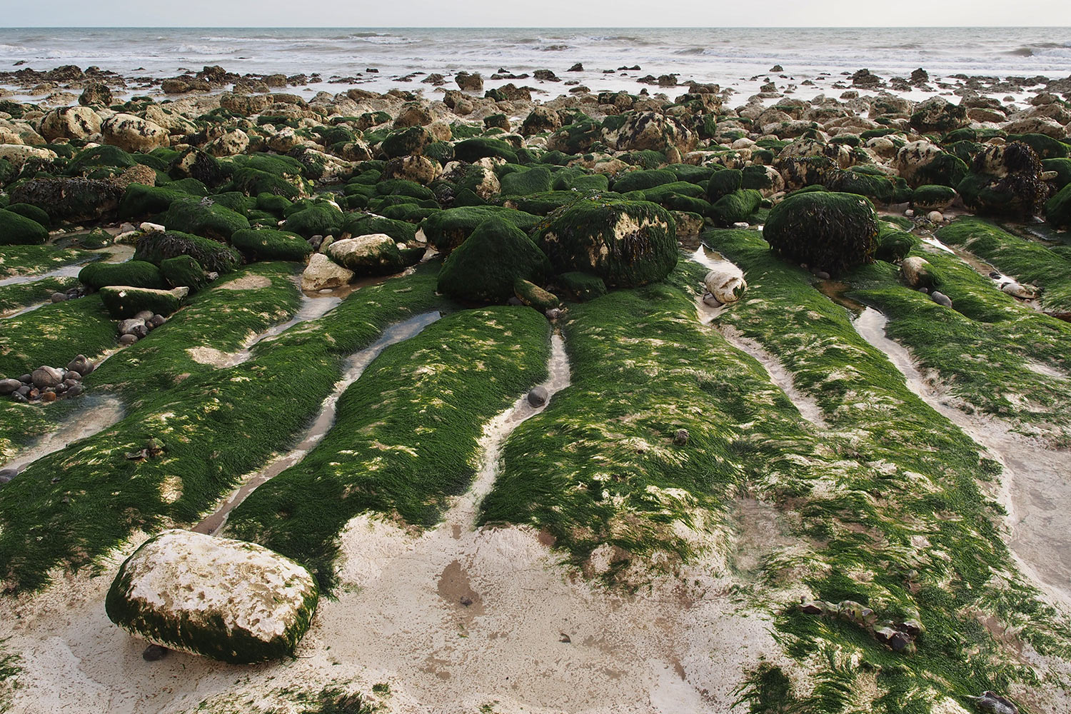 Am Strand . Birling Gap . England (Foto: Andreas Kuhrt 2016)
