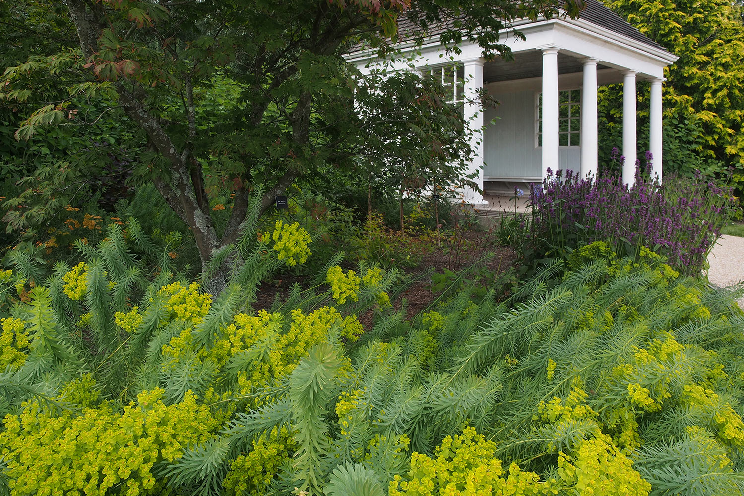 P0053806-2016-08-10-suedengland-handcross-nymans-house-garden Nymans Garden . Handcross . England (Foto: Andreas Kuhrt 2016)
