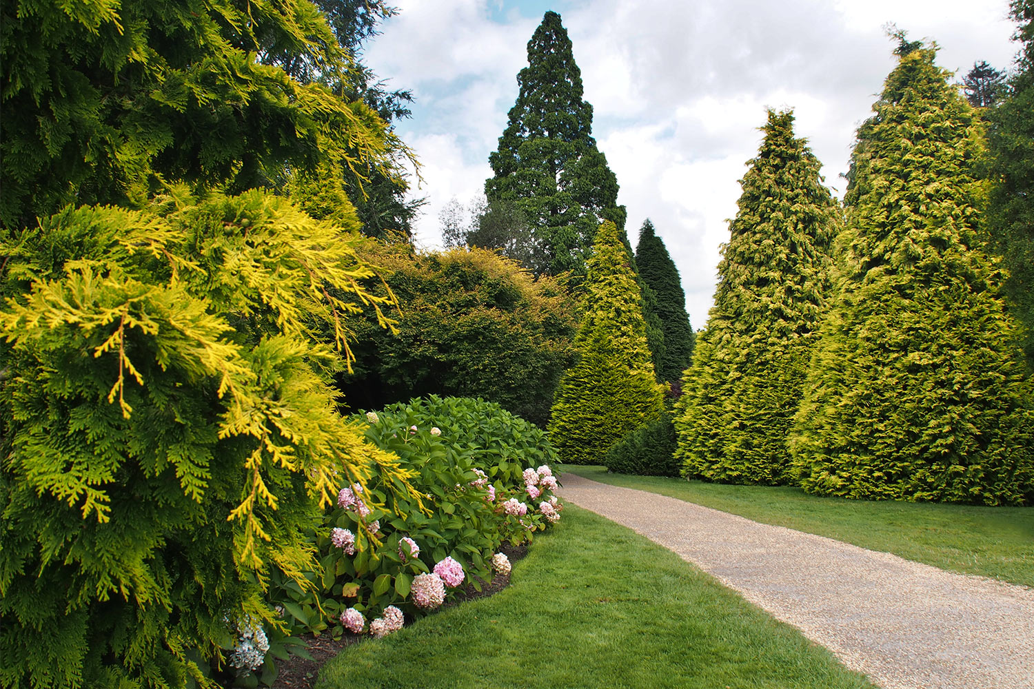 P0053809-2016-08-10-suedengland-nymans-house-garden Im Park . Nymans House & Garden . bei Handcross . England (Foto: Andreas Kuhrt 2016)