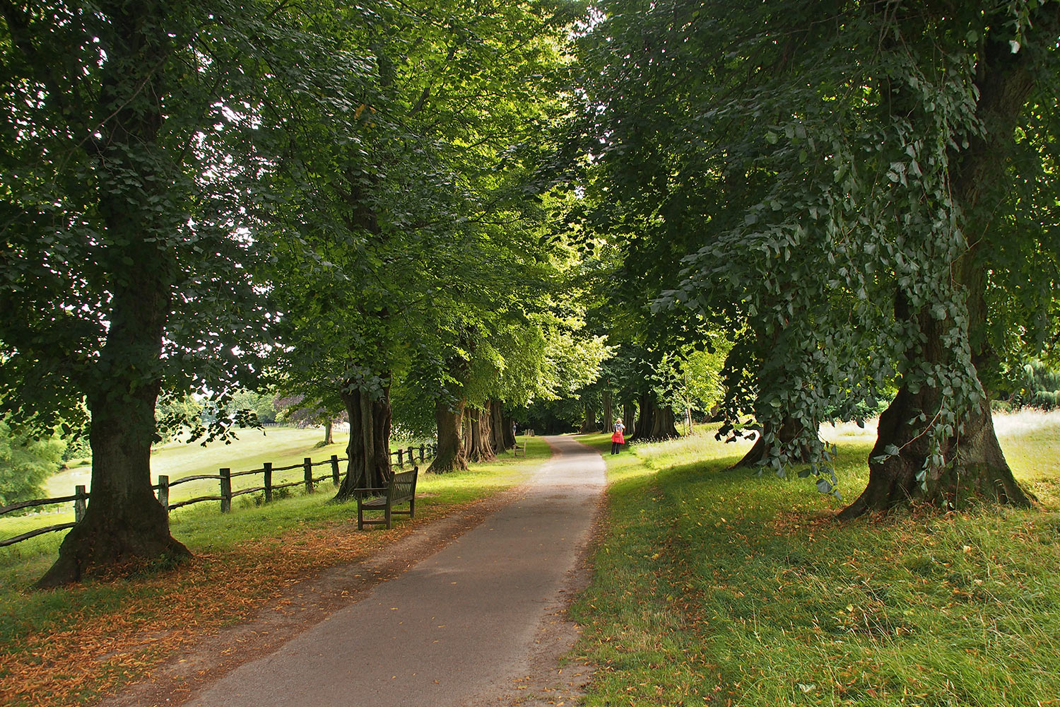 P0053838-2016-08-10-suedengland-nymans-house-garden-allee Allee . Nymans House & Garden . bei Handcross . England (Foto: Andreas Kuhrt 2016)
