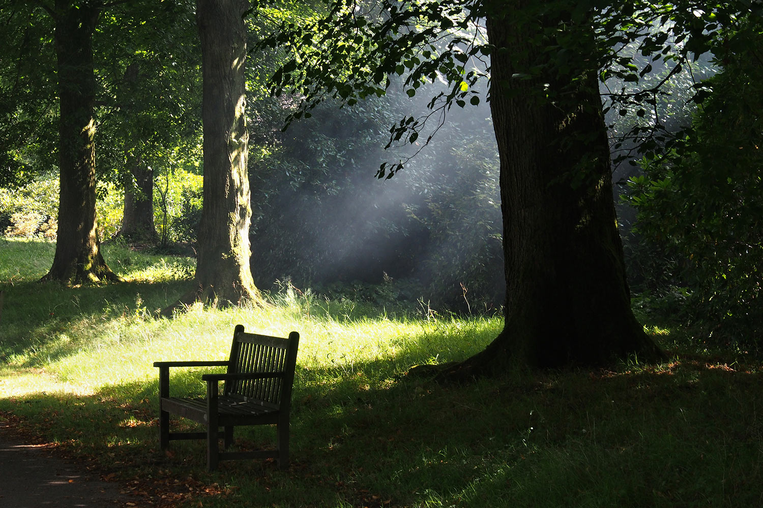 P0053856-2016-08-10-suedengland-nymans-house-garden-licht Im Park . Nymans House & Garden . bei Handcross . England (Foto: Andreas Kuhrt 2016)