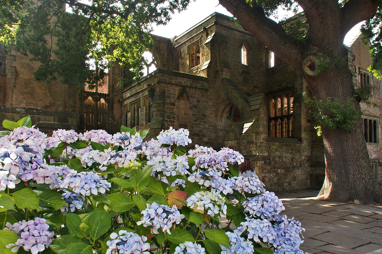P0053863-2016-08-10-suedengland-nymans-house-garden Ruine . Nymans House & Garden . bei Handcross . England (Foto: Andreas Kuhrt 2016)