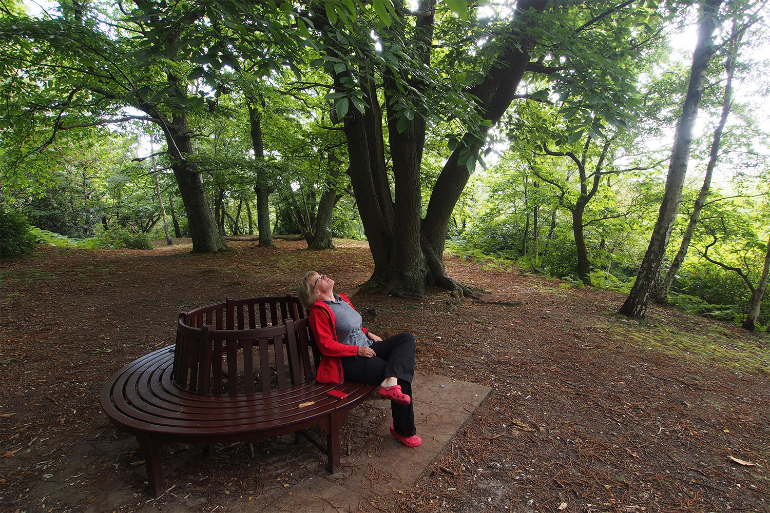 P0054052-2016-08-11-suedengland-graffham-camping-and-caravanning-club-wald-bank Waldbank im Graffham Camping & Caravanning Club . England (Foto: Andreas Kuhrt 2016)