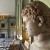 Marmorbüste eines Jungen im Hermes-Stil (Römisch, 1. Jh.) . Marble Hall . Petworth House . Sussex . Südengland (Foto: Andreas Kuhrt)